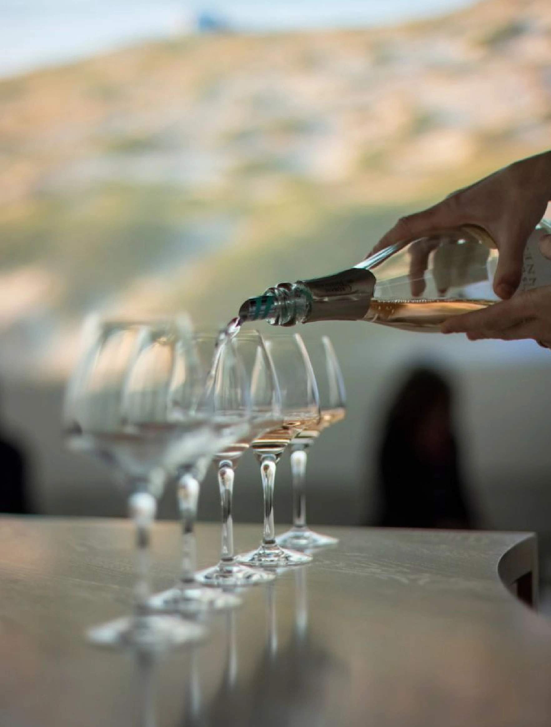 Dégustation de vin à l'écrin des bois en Balagne