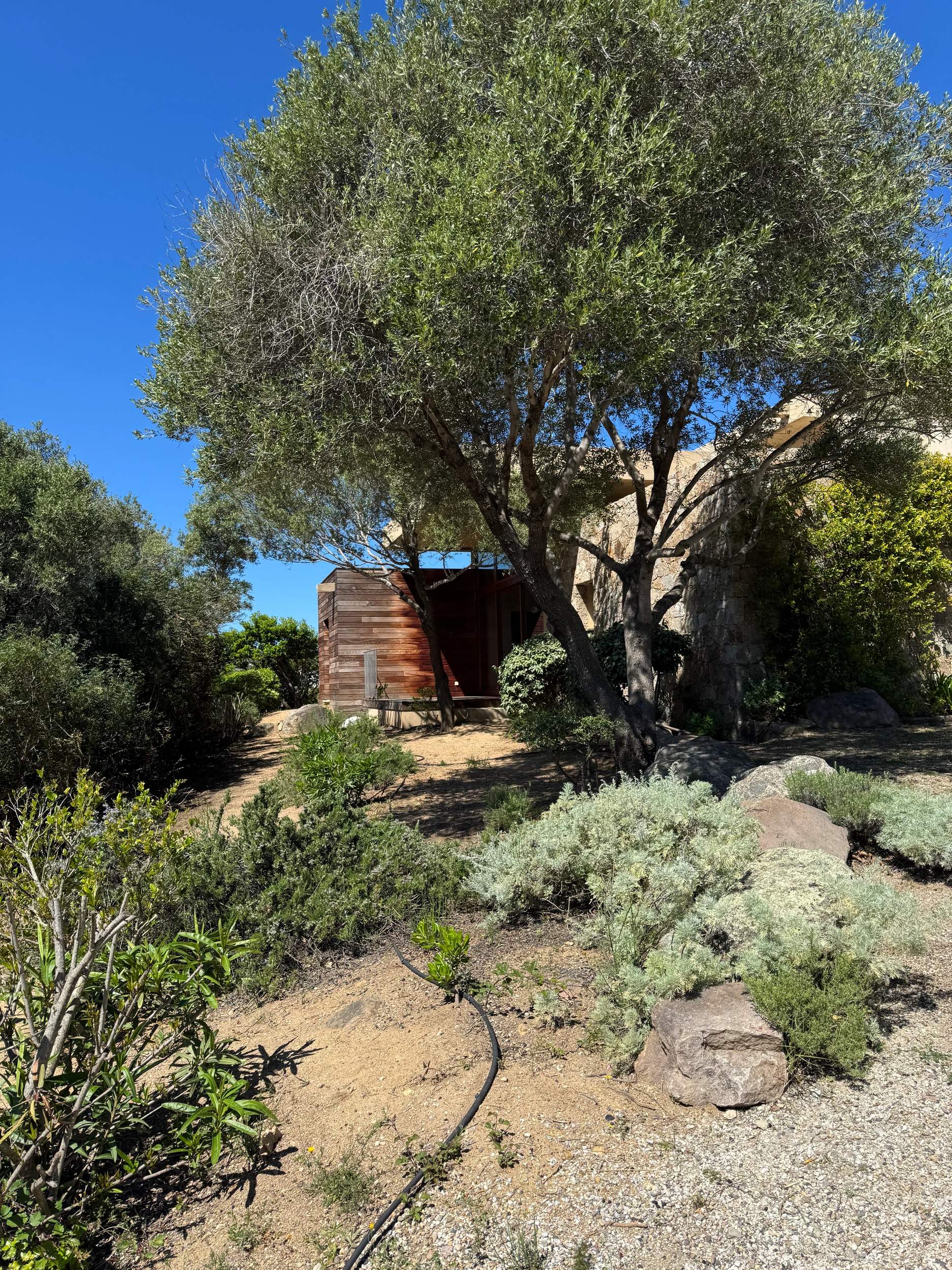 Le jardin de la villa U Leccio