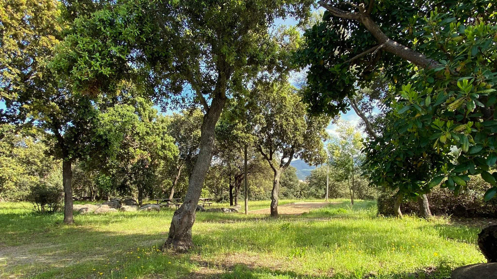 Villa en plein maquis à Belgodère