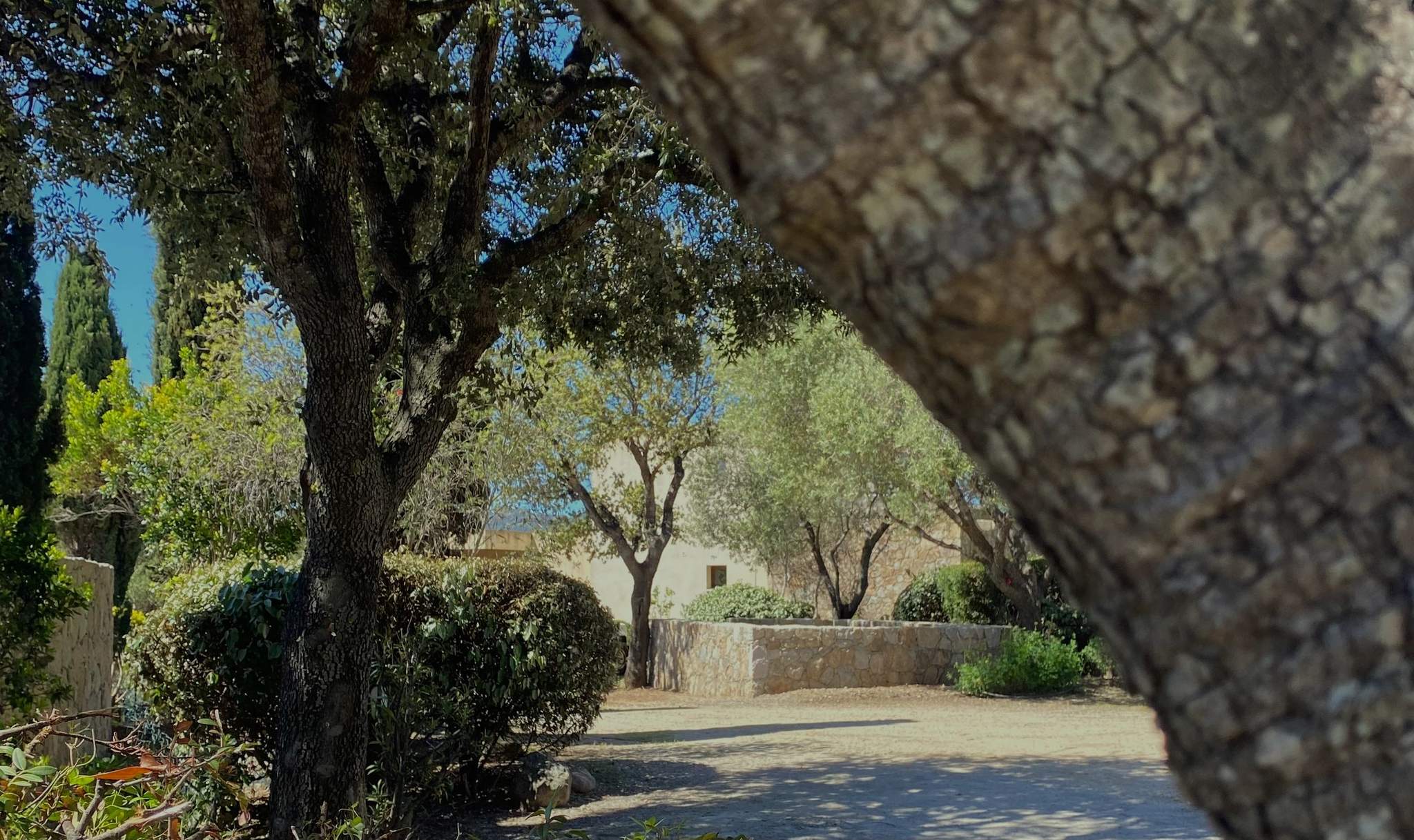 Villas avec piscine chauffée proches de Lozari