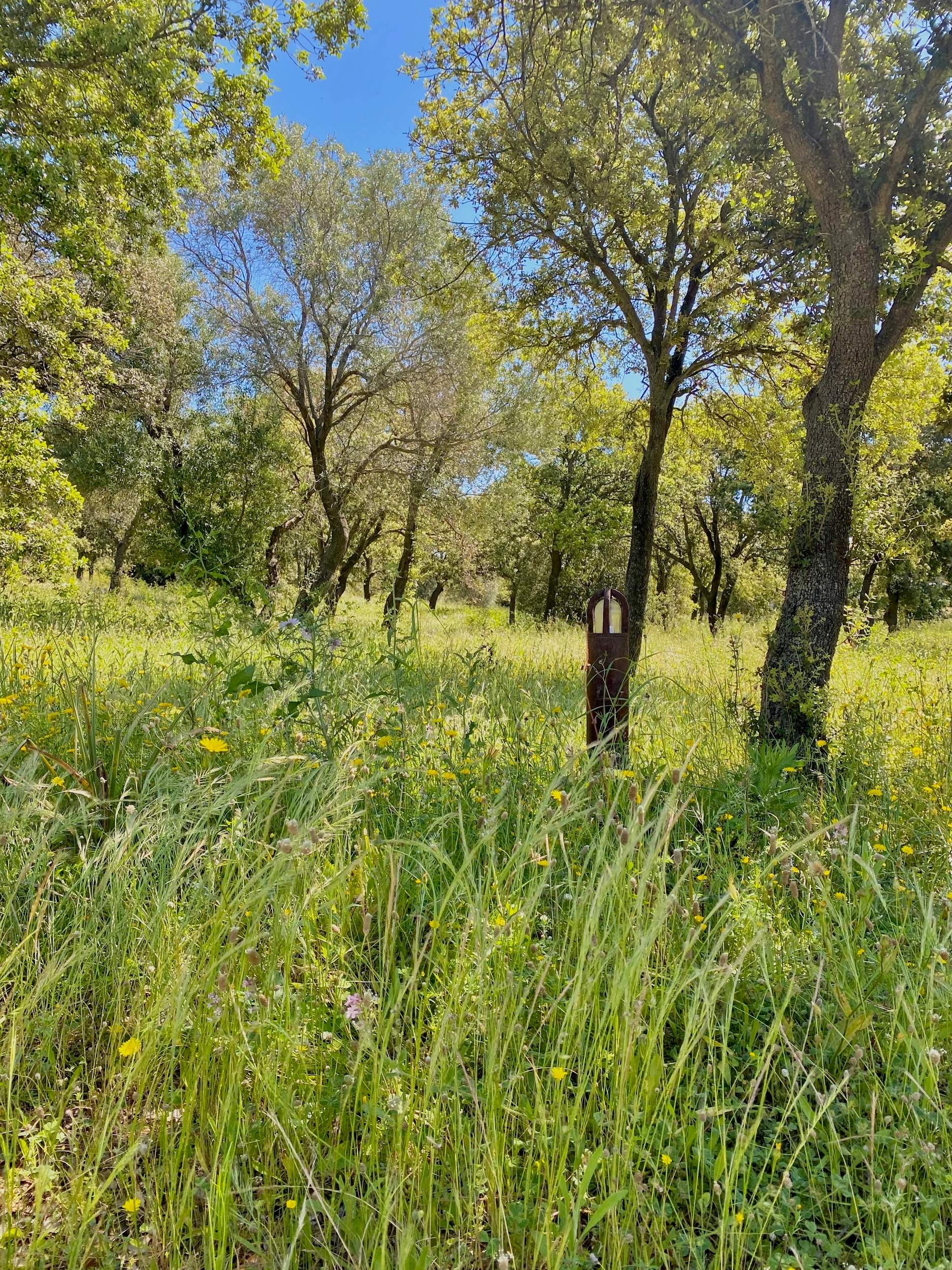 Le parc arboré de l'Ecrin des bois